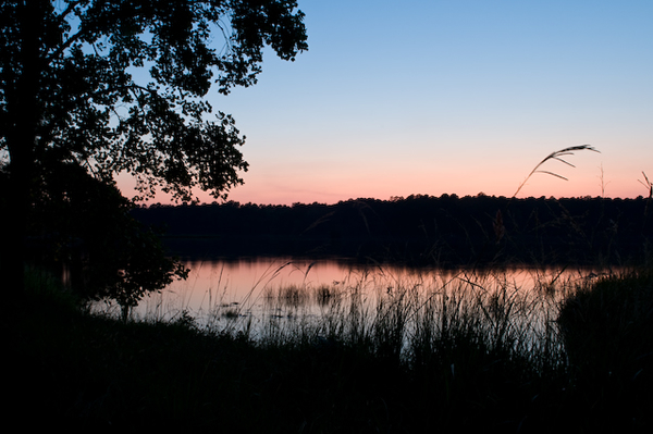 One of the Lakes at Five Star Plantation