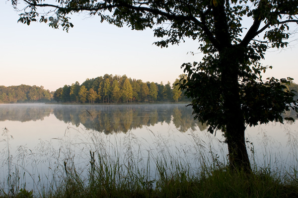 Summer Adventures at Five Star Plantation