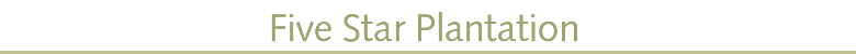 Five Star Plantation